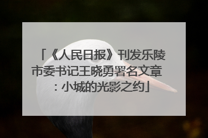 《人民日报》刊发乐陵市委书记王晓勇署名文章：小城的光影之约