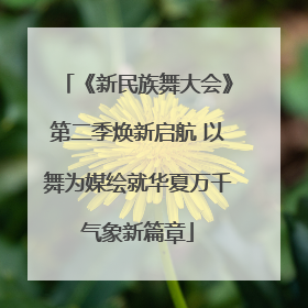 《新民族舞大会》第二季焕新启航 以舞为媒绘就华夏万千气象新篇章