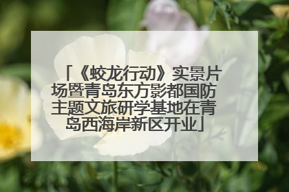 《蛟龙行动》实景片场暨青岛东方影都国防主题文旅研学基地在青岛西海岸新区开业