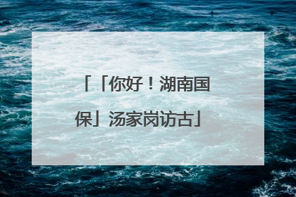「你好！湖南国保」汤家岗访古