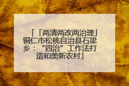 「两清两改两治理」铜仁市松桃自治县石梁乡：“四治”工作法打造和美新农村