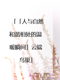 「人与自然和谐相处的温暖瞬间」云端鸟巢