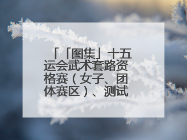 「图集」十五运会武术套路资格赛（女子、团体赛区）、测试赛在南沙开赛