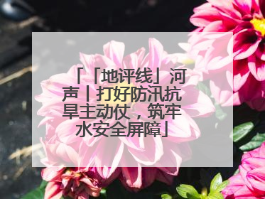 「地评线」河声丨打好防汛抗旱主动仗，筑牢水安全屏障