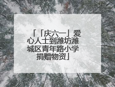 「庆六一」爱心人士到潍坊潍城区青年路小学捐赠物资
