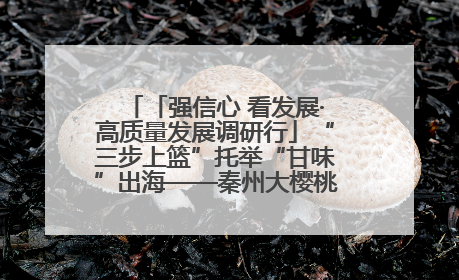 「强信心 看发展·高质量发展调研行」“三步上篮”托举“甘味”出海——秦州大樱桃高质量发展动作分解