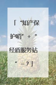 “知产保护哨”+“经盾服务站”=？