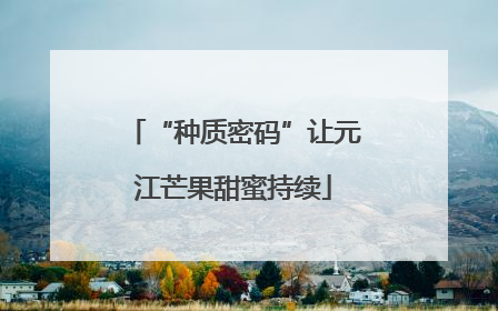 “种质密码”让元江芒果甜蜜持续