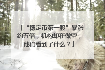 “稳定币第一股”暴涨约五倍，机构却在做空，他们看到了什么？