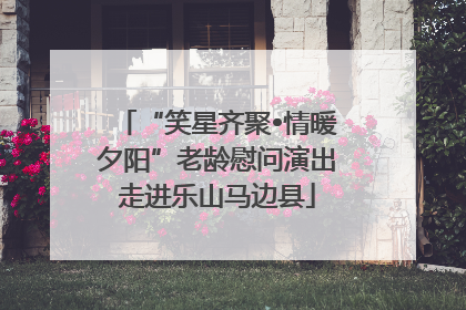 “笑星齐聚•情暖夕阳”老龄慰问演出走进乐山马边县