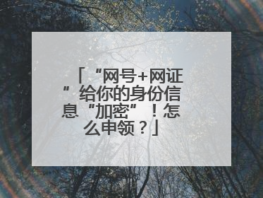“网号+网证”给你的身份信息“加密”！怎么申领？