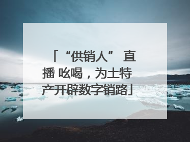 “供销人” 直播 吆喝，为土特产开辟数字销路