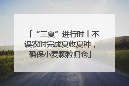“三夏”进行时丨不误农时完成夏收夏种，确保小麦颗粒归仓