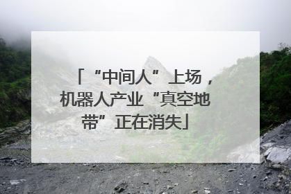 “中间人”上场，机器人产业“真空地带”正在消失