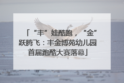 “丰”娃酷跑，“金”跃腾飞：丰金博苑幼儿园首届跑酷大赛落幕