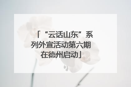 “云话山东”系列外宣活动第六期在德州启动