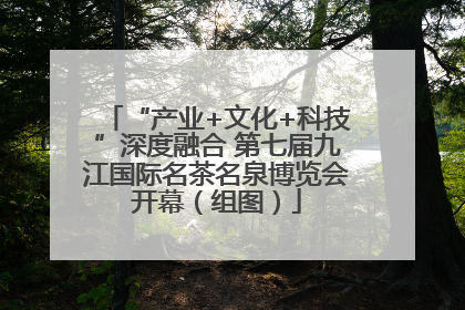 “产业+文化+科技”深度融合 第七届九江国际名茶名泉博览会开幕（组图）