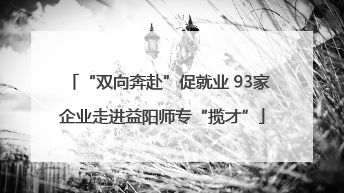 “双向奔赴”促就业 93家企业走进益阳师专“揽才”