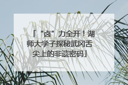 “卤”力全开！湖师大学子探秘武冈舌尖上的非遗密码