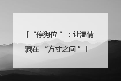 “停狗位 ”：让温情藏在 “方寸之间 ”