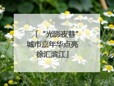 “光影夜巷”城市嘉年华点亮徐汇滨江