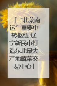 “北菜南运”重要中转枢纽 辽宁新民市打造东北最大产地蔬菜交易中心