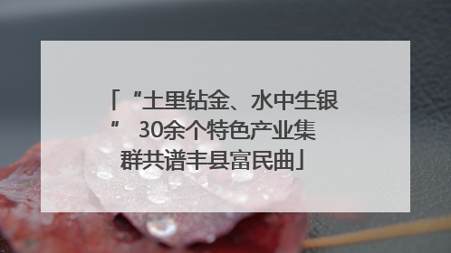 “土里钻金、水中生银” 30余个特色产业集群共谱丰县富民曲