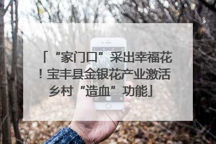 “家门口”采出幸福花！宝丰县金银花产业激活乡村“造血”功能