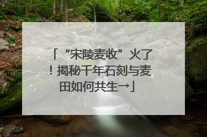 “宋陵麦收”火了！揭秘千年石刻与麦田如何共生→