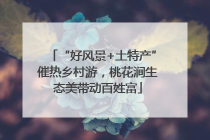 “好风景+土特产”催热乡村游，桃花涧生态美带动百姓富