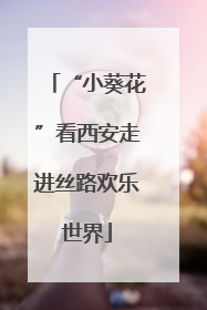 “小葵花”看西安走进丝路欢乐世界