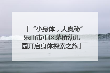 “小身体，大奥秘” 乐山市中区茅桥幼儿园开启身体探索之旅