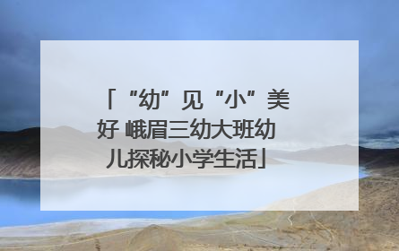 “幼”见“小”美好 峨眉三幼大班幼儿探秘小学生活