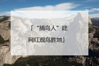 “捕鸟人”建网红观鸟胜地