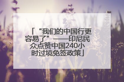 “我们的中国行更容易了”——印尼民众点赞中国240小时过境免签政策