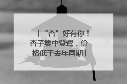 “杏”好有你！杏子集中登鹭，价格低于去年同期