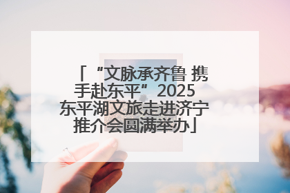 “文脉承齐鲁 携手赴东平”2025东平湖文旅走进济宁推介会圆满举办