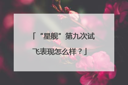 “星舰”第九次试飞表现怎么样？