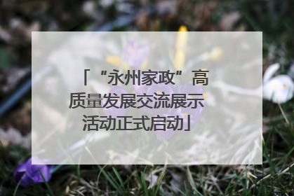 “永州家政”高质量发展交流展示活动正式启动