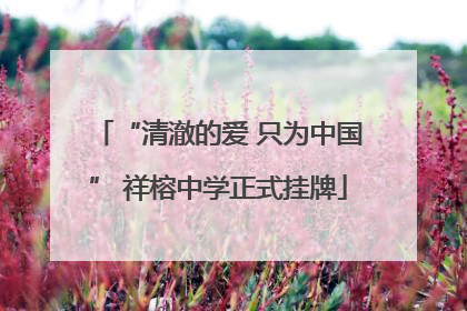 “清澈的爱 只为中国” 祥榕中学正式挂牌