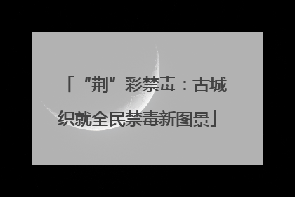 “荆”彩禁毒：古城织就全民禁毒新图景
