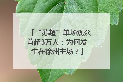 “苏超”单场观众首超3万人：为何发生在徐州主场？