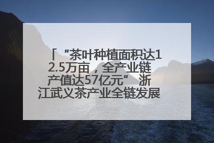 “茶叶种植面积达12.5万亩，全产业链产值达57亿元” 浙江武义茶产业全链发展“加速度”