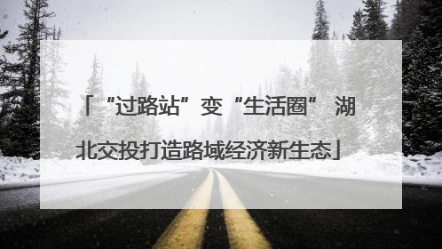 “过路站”变“生活圈” 湖北交投打造路域经济新生态