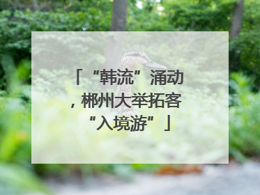 “韩流”涌动，郴州大举拓客“入境游”