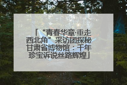 “青春华章·重走西北角”采访团探秘甘肃省博物馆：千年珍宝诉说丝路辉煌