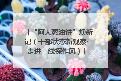 “阿大葱油饼”焕新记（干部状态新观察·走进一线探作风）