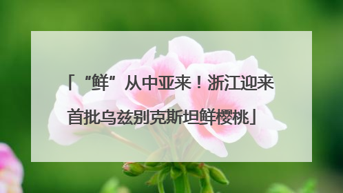 “鲜”从中亚来！浙江迎来首批乌兹别克斯坦鲜樱桃