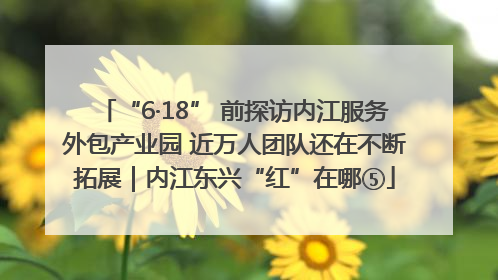 “6·18” 前探访内江服务外包产业园 近万人团队还在不断拓展｜内江东兴“红”在哪⑤