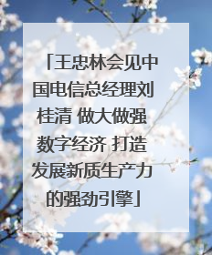 王忠林会见中国电信总经理刘桂清 做大做强数字经济 打造发展新质生产力的强劲引擎